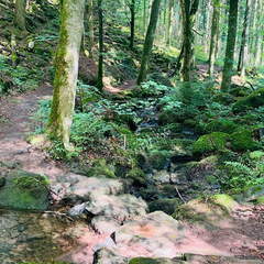 22-09-11 12-44-49 2014